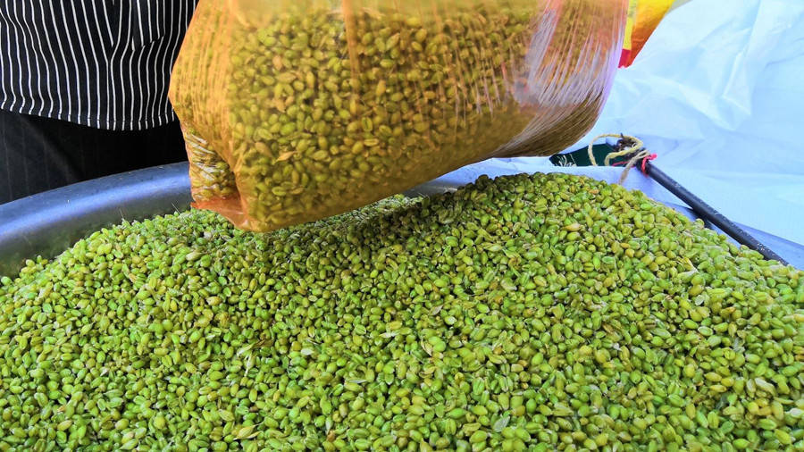 它是「夏天第一鮮」買到了趕緊吃！食用期很短「鮮嫩爆漿營養高」錯過可惜