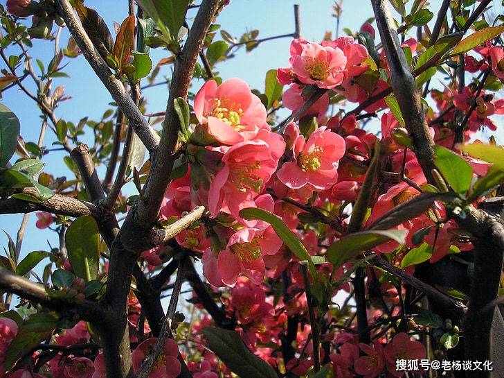 5月中旬！「3大生肖」運勢大漲，財氣豐沛，生活越來越富裕順利