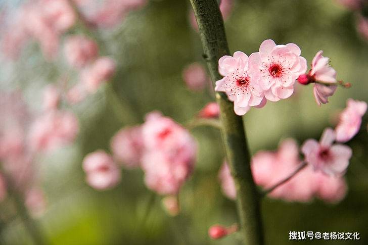 5月中旬！「3大生肖」運勢大漲，財氣豐沛，生活越來越富裕順利