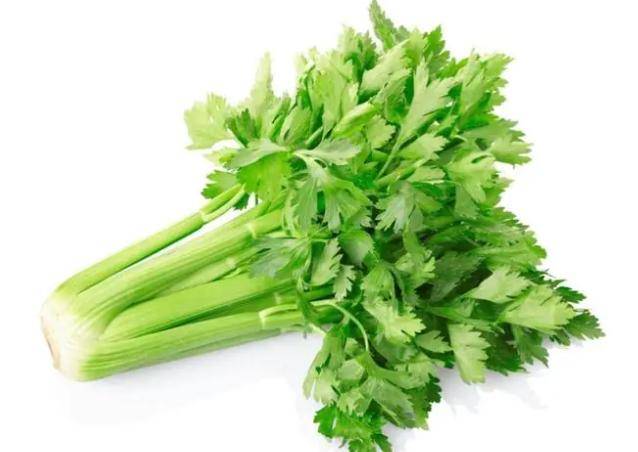 芹菜並非結節加速劑！醫生提醒：不想結節癌變，少碰4物　尤其女生少喝1飲品