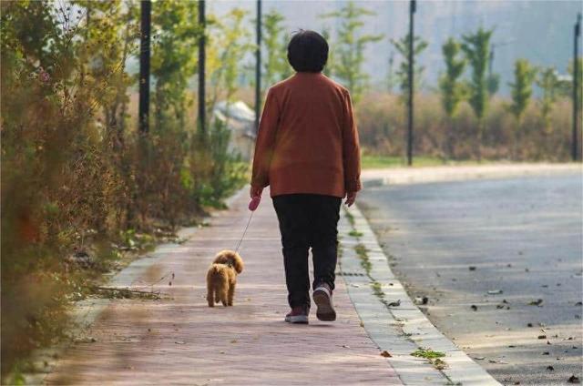 住鄉下大半輩子！老伴走後「兒子把我接進城市裡一起住」　睡前「孫子一個天真問題」我趁夜偷偷回老家