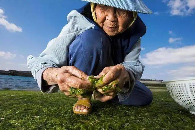 日本公布長壽的「5個好習慣」！跑步排末尾，「第一名」一定要堅持快從現在做起