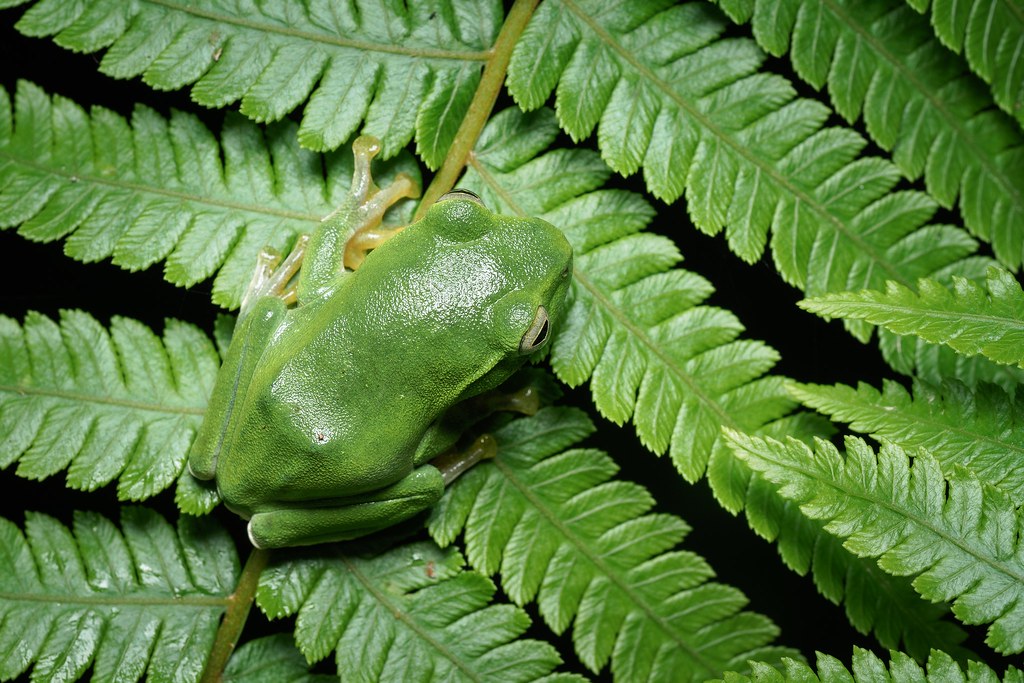 大家來找碴！平凡民宅牆上「有一雙眼睛盯著看」　網友狂看「發現超妙保護色」：沒人找得到