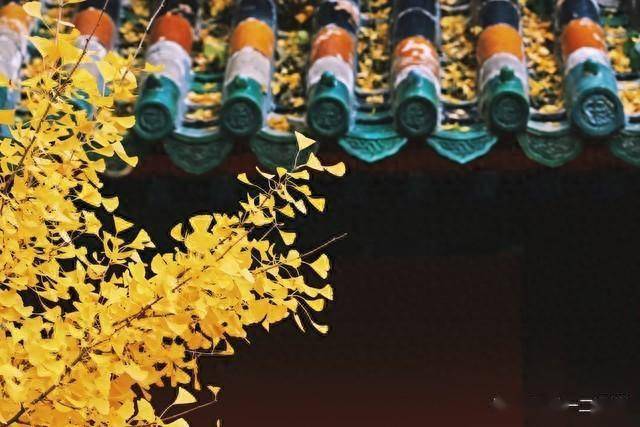 「家存3樣，註定興旺」！易經智慧揭秘：這3樣東西讓你家財萬貫