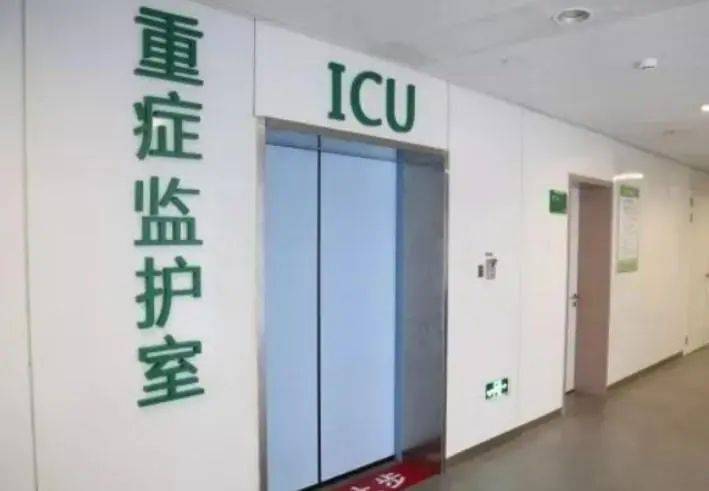 妻子昏迷腦死！丈夫不忍「悲痛拔氧氣管」　女同事一通電話「竟讓他鋃鐺入獄」...