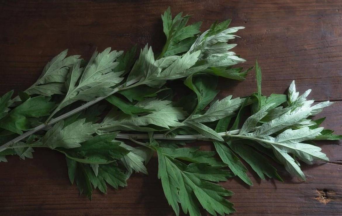 端午掛艾草有講究！是「倒掛好」還是「順掛好」，早知道早好