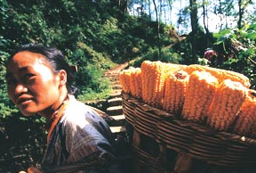 婆婆到「工地上班」貼補家用　兒媳心疼幫忙送雞湯「走到工地卻怒將雞湯丟掉」