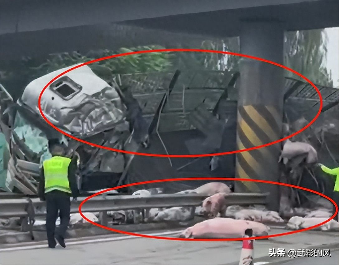 撞高速公路護欄！大貨車翻覆「車上全甩飛」橫躺路面　目擊者曝「僅個位數活著」慘況曝光