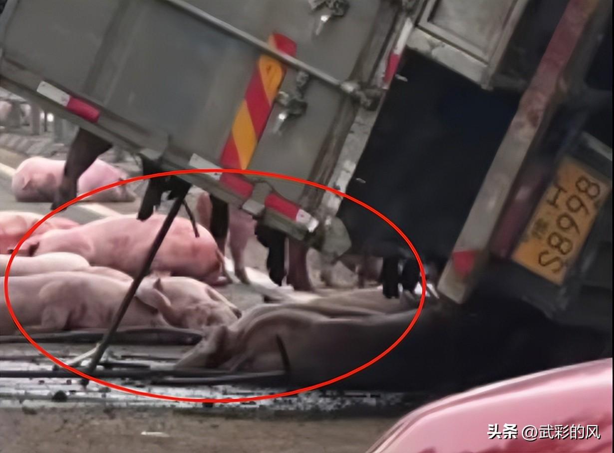 撞高速公路護欄！大貨車翻覆「車上全甩飛」橫躺路面　目擊者曝「僅個位數活著」慘況曝光