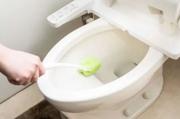 馬桶蓋之爭：沖水前蓋不蓋？專家揭曉真相，網友兩派激辯！