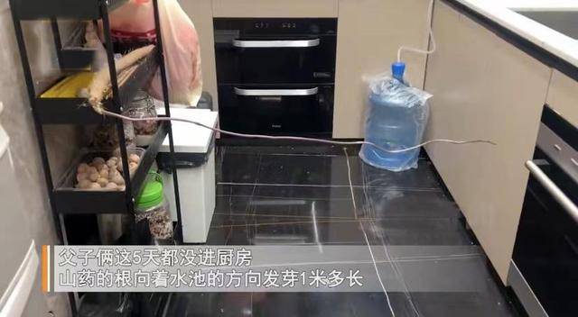 媽媽出差工作！5天後回家「客廳井然有序」　剛要誇父子倆「走進廚房驚呆了」