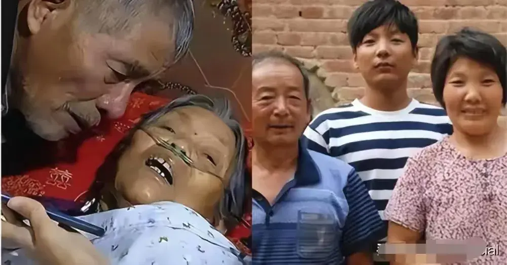 被指責不孝！名校博士「躲父母逃往異國20年」　母親臨終「求見最後一面」他回7個字拒絕