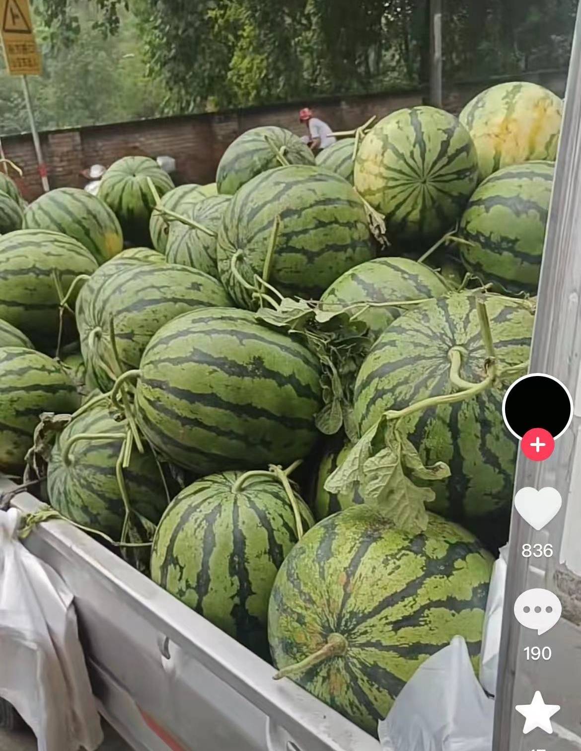 校門口賣西瓜！水果店殘疾夫妻「眼紅直接砸場」　他賠償完「卻因禍得福」