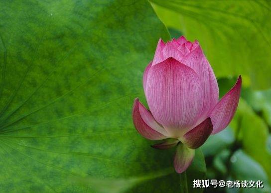 2024年7月運勢大爆發！「這4生肖」貴人相助，財源滾滾來