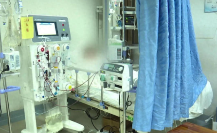 採野菇加菜！一家四口「中毒送醫」1人身亡：3人還在搶救中　兇手曝光「看起來美味又無害」