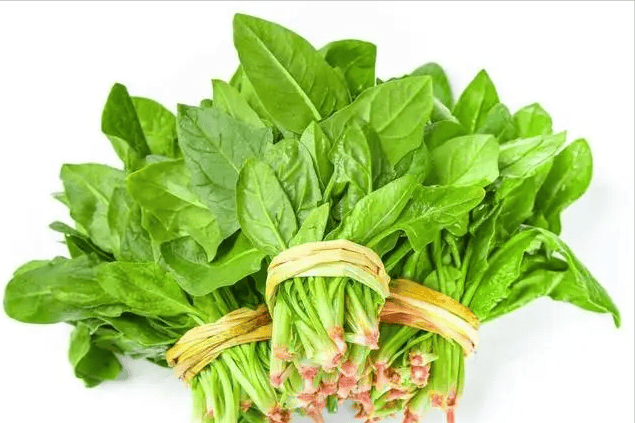 老年人要遠離洋蔥？醫生給出忠告：不想身體垮掉「老人要少碰這幾種菜」