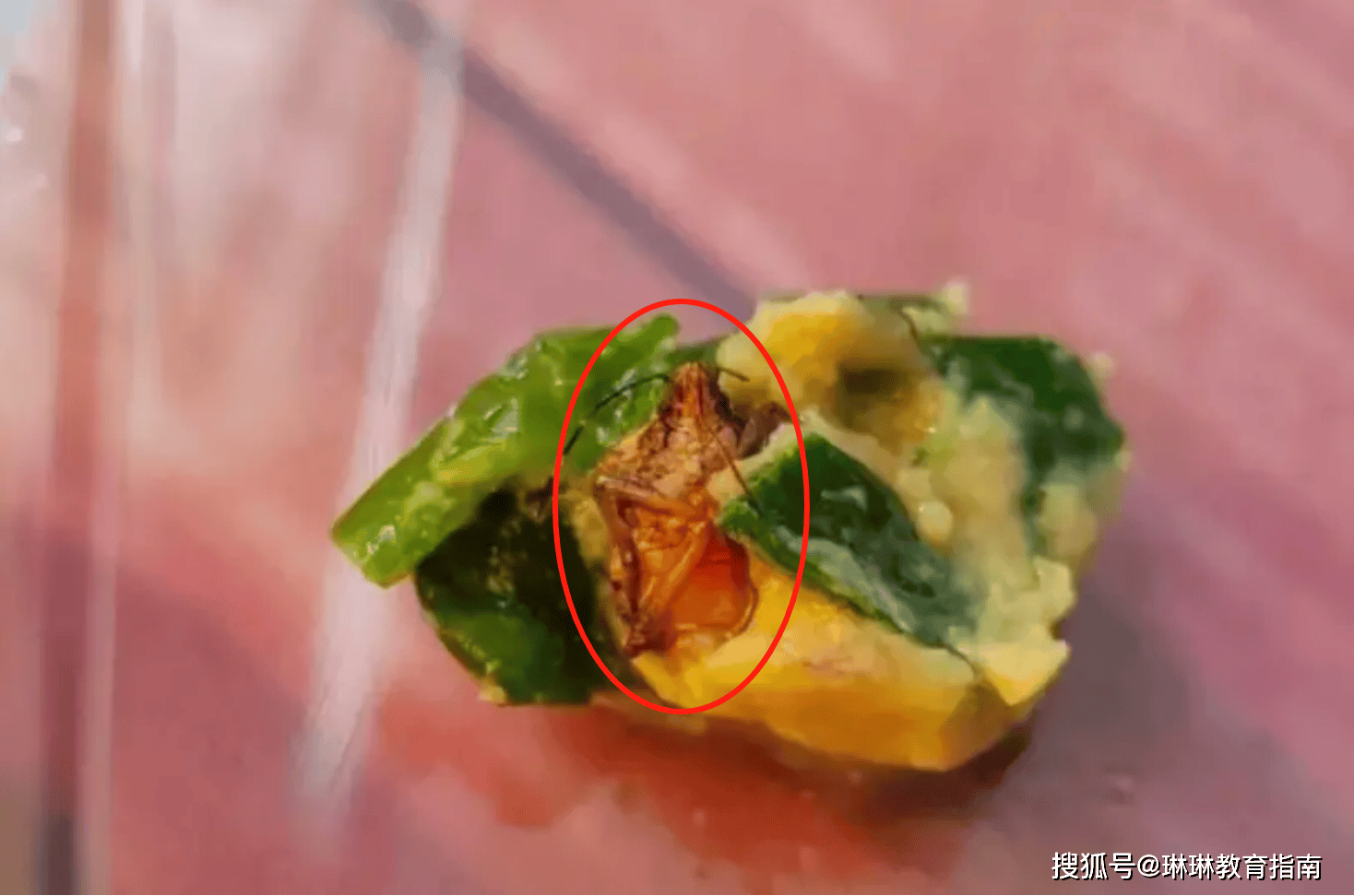 太浪費食物？國中男孩PO照「一群人糟蹋午飯」　萬名網友一看按讚：「真不是孩子的錯」