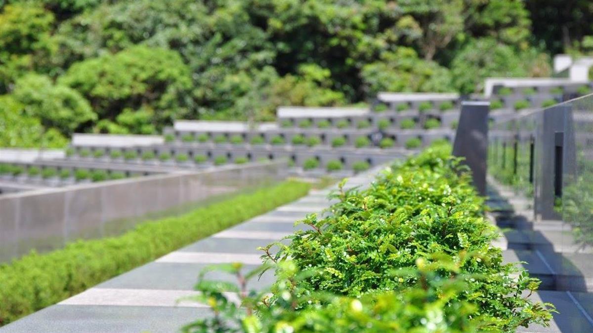 爸爸重女輕男！弟弟不滿遺產分太少「衝家族墓地做1舉動」　「下場悽慘」哀號：他不願放過我
