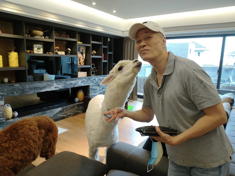 息影20年！台灣第一代偶像「突拿出筷子」下秒驚呼連連　一脫衣「70歲驚見人魚線」驚豔全網