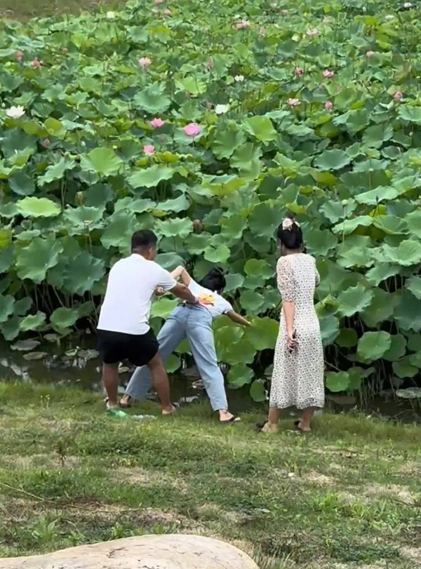 夏日荷花池驚現「人體撈花」慘劇！網友笑翻：這下信了路邊野花不要採