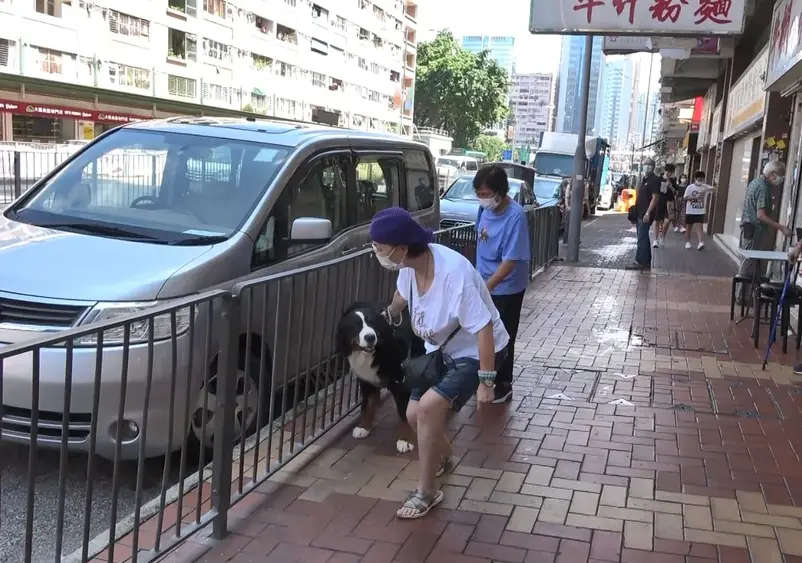 去年宣布息影！60歲女星被偶遇「街頭與大狗僵持」　抱不動拖不走「場面尷尬又搞笑」意外曝光近況