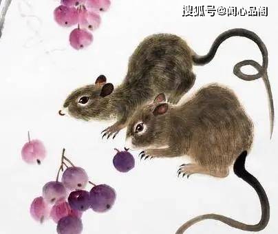 「天生操心命」3生肖女曝光！婚後全為家人轉 第2名最讓人心疼