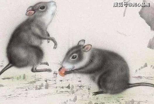 「天生操心命」3生肖女曝光！婚後全為家人轉 第2名最讓人心疼