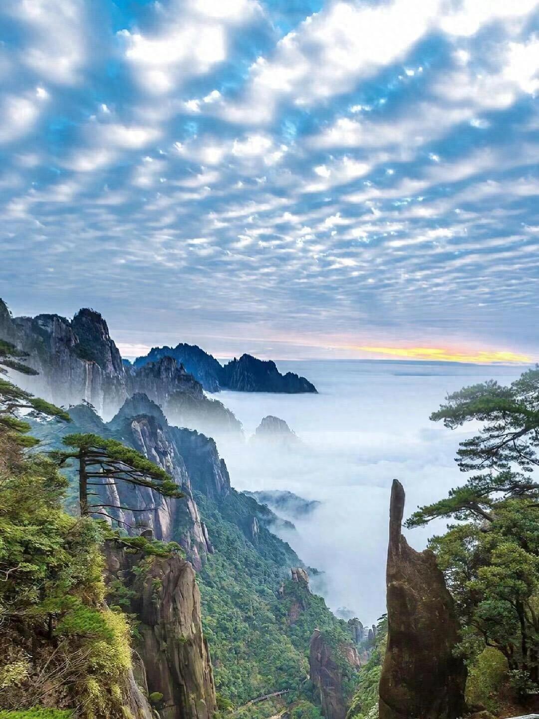 老一輩的智慧：生肖屬狗，這兩個年份出生的人命運特別好！你家有嗎？