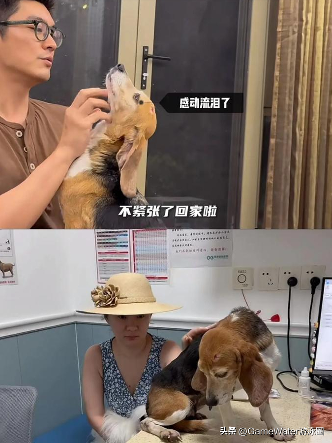 初戀是湯唯！被親媽「拆散3段姻緣」　幾近崩潰「躺狗窩大哭」46歲仍孤身一人