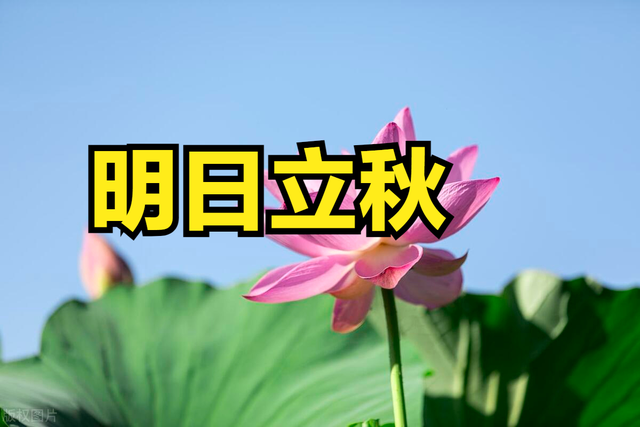 今8/7立秋「危日」來襲！立秋當天切記「4大禁忌」：第一項幾乎人人中招