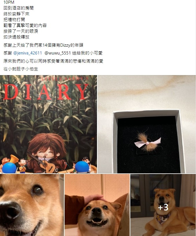 離婚後不談婚姻！林憶蓮落淚曝「深夜送走摯愛」　工作結束潰堤：「滿滿的痛跟愛...」