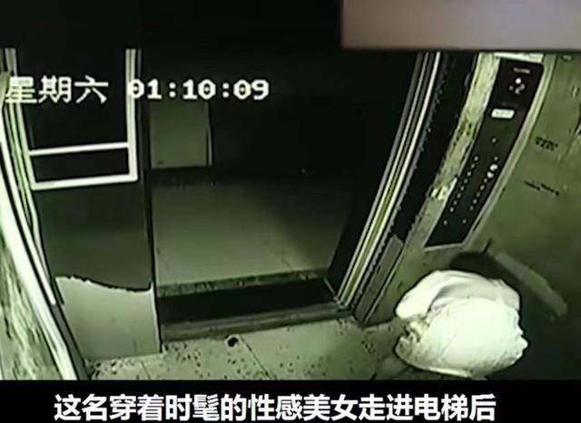 電梯飄來尿味！他好心勸導「養狗住戶」情況未改善　一調監視器「對象令人瞠目結舌」