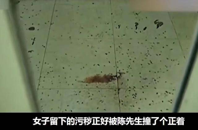 電梯飄來尿味！他好心勸導「養狗住戶」情況未改善　一調監視器「對象令人瞠目結舌」