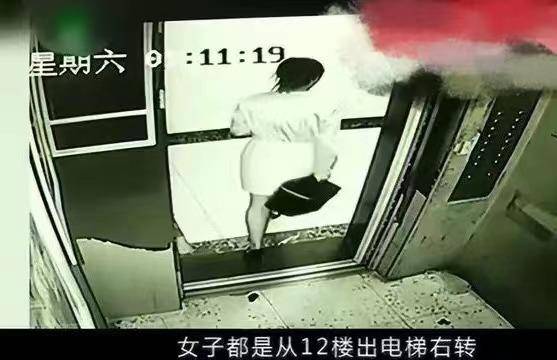 電梯飄來尿味！他好心勸導「養狗住戶」情況未改善　一調監視器「對象令人瞠目結舌」