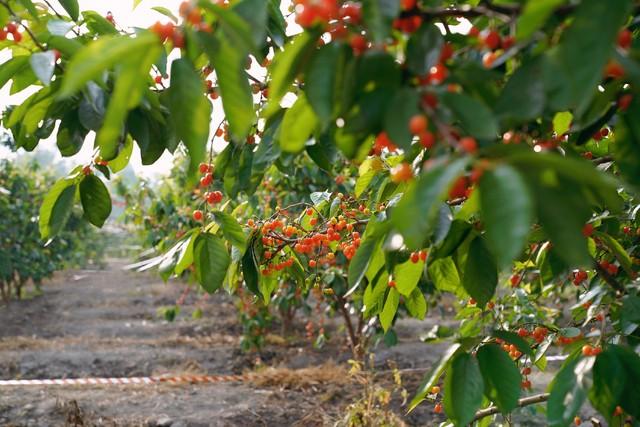 婆婆買菜錢給400!要求我端出「10道菜招待」親戚 餐桌上「我偷偷遞換菜色」婆家羞愧難當