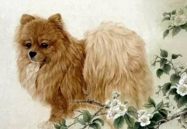 陰曆七月半後！事業愛情雙豐收，這「3大生肖」即將迎來人生轉捩點