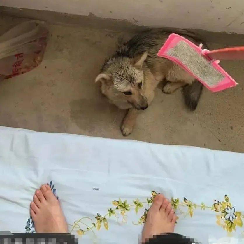 開心炫耀考名校！女大生早上「連曬三張錄取通知書」　午覺一醒來「結果悲劇了」