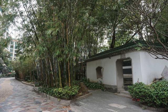 妻子早走！我63歲「每月退休金有3萬5」存款500萬　前陣子「重逢學生時期女友」再續前緣一切開始變調