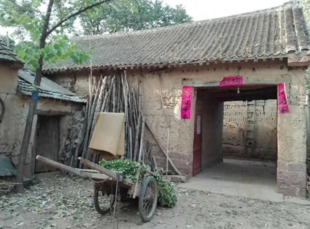 外婆重男輕女！喪禮上大阿姨忙前忙後卻未落淚 葬禮後舅舅一舉動讓她崩潰大哭