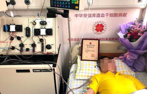 21歲少女「好心捐骨髓」拯救陌生男子！一年後懷孕家屬竟登門：請墮胎救救我丈夫