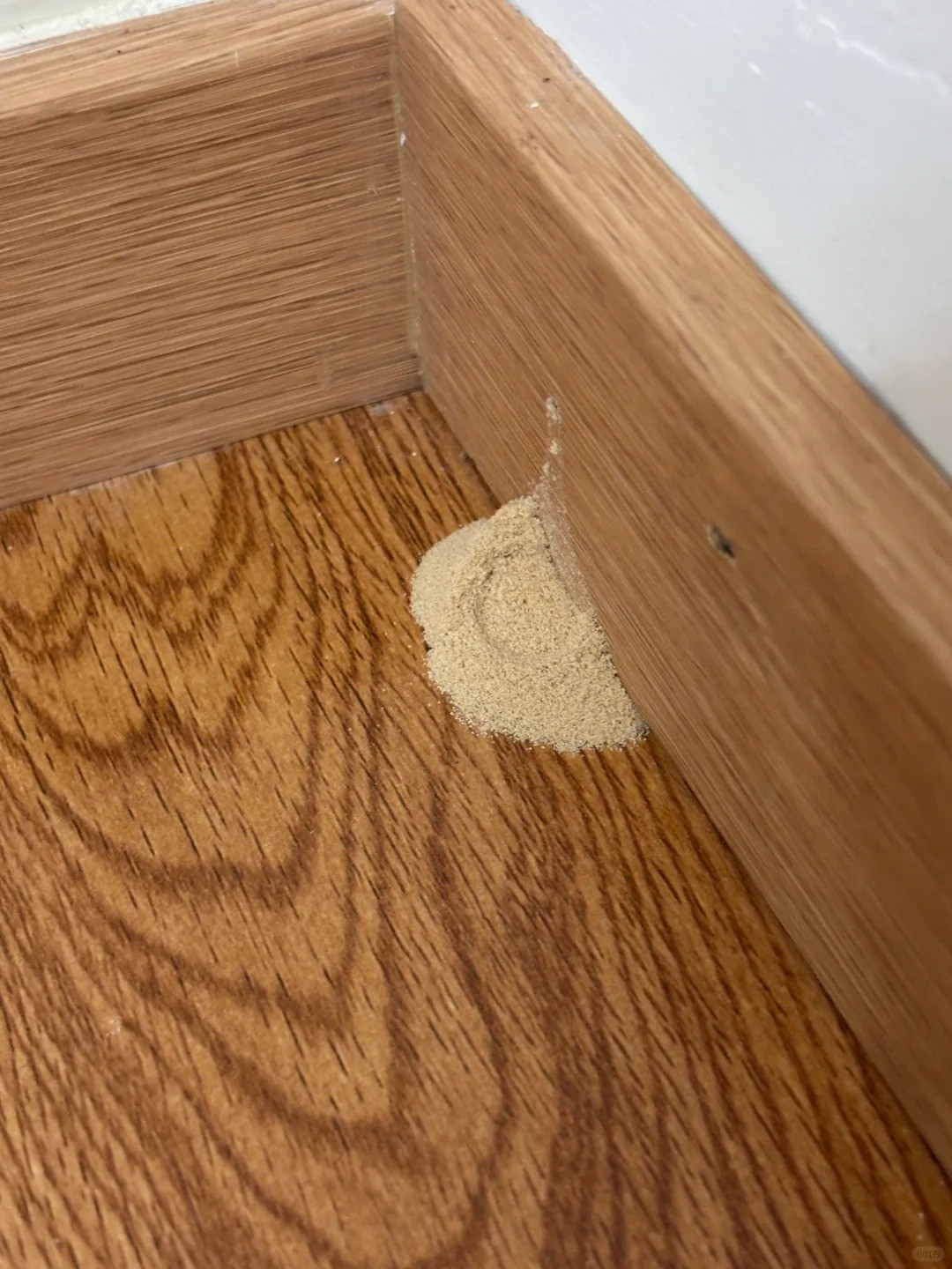 到底是什麼？家中牆角「莫名出現一堆黃沙」 　內行人曝真實身分「不是白蟻」