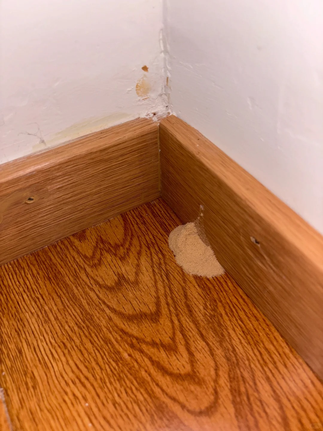 到底是什麼？家中牆角「莫名出現一堆黃沙」 　內行人曝真實身分「不是白蟻」