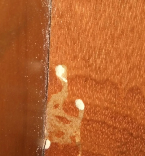 到底是什麼？家中牆角「莫名出現一堆黃沙」 　內行人曝真實身分「不是白蟻」