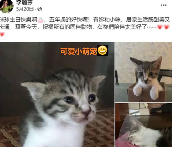 紅遍兩岸三地！嫁給外國老公「頂客20年後離婚」　64歲近況曝光「坦言對婚姻已看淡」和它們為伴