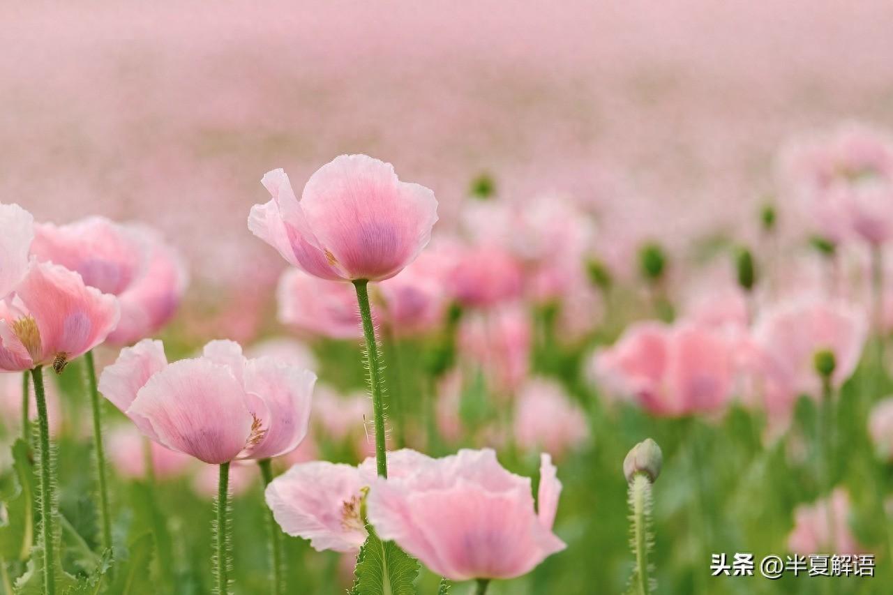 婆婆兒媳同時懷孕！兒媳「反對婆婆生二胎」遭全家孤立　無奈下「做了一個決定」被罵自私自利