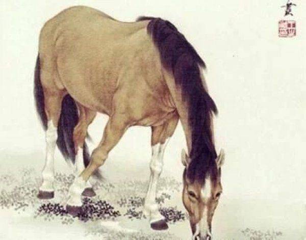 「比老公還會賺錢」的3生肖女！智商超群還漂亮　個個是富姐也是貴人