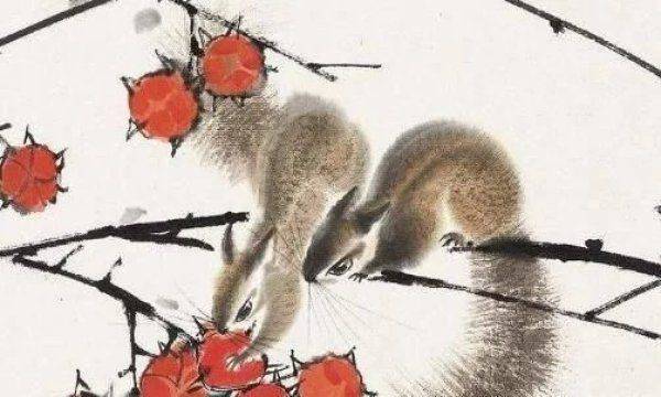 「比老公還會賺錢」的3生肖女！智商超群還漂亮　個個是富姐也是貴人