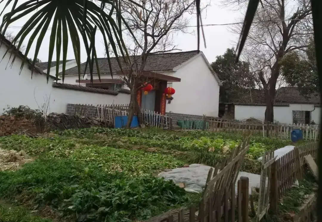 奶奶重男輕女！8歲時母親離世「外婆把我帶大」　長大後「我給外婆養老」她卻不同意
