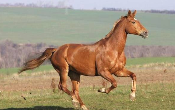 愛錯就放手!感情裡「最果斷」的3大生肖 「要麼分手、要麼深愛」絕不拖泥帶水