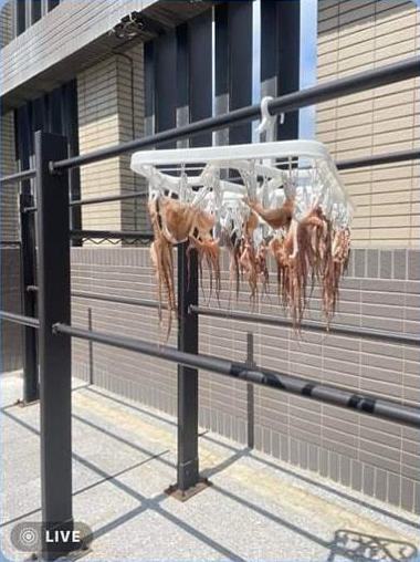 鄰居在頂樓「曬一排排肉乾」　沒多久「她掀開被子」嚇到頭皮發麻